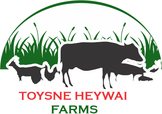  Tosyne Heywai Farms Limited
